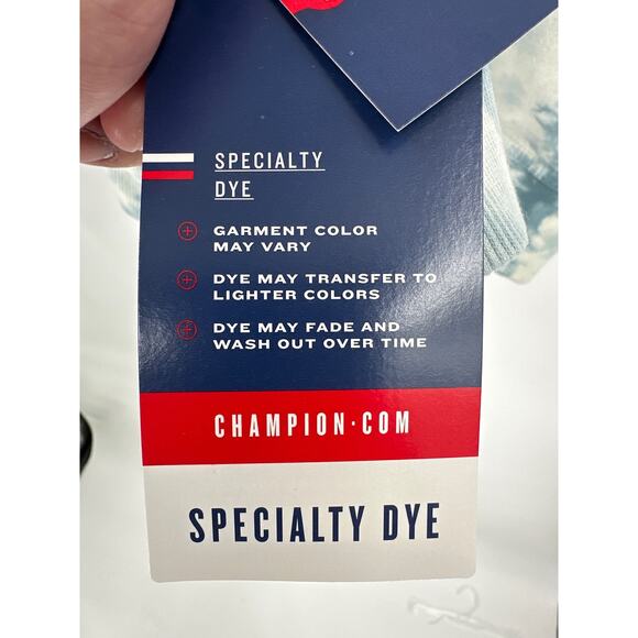 Champion Cloudy Blue Hoodie - Picture 3 of 5